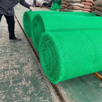 甘肃天水3层三维植被网格厂家供应