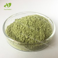 行业精选速溶绿茶粉食品级绿茶提取物