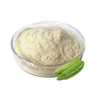 实力工厂速溶苦瓜粉食品级苦瓜提取物