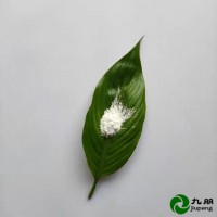 透明性好 涂料耐磨增韧专用 30纳米氧化铝