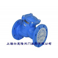 法兰Y型过滤器