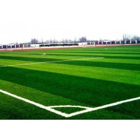 足球场草坪建设,学校足球场草坪