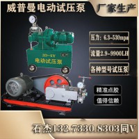 大流量高压电动试压泵