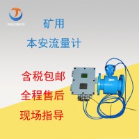 煤安DN100电磁流量计 井下排水RS485